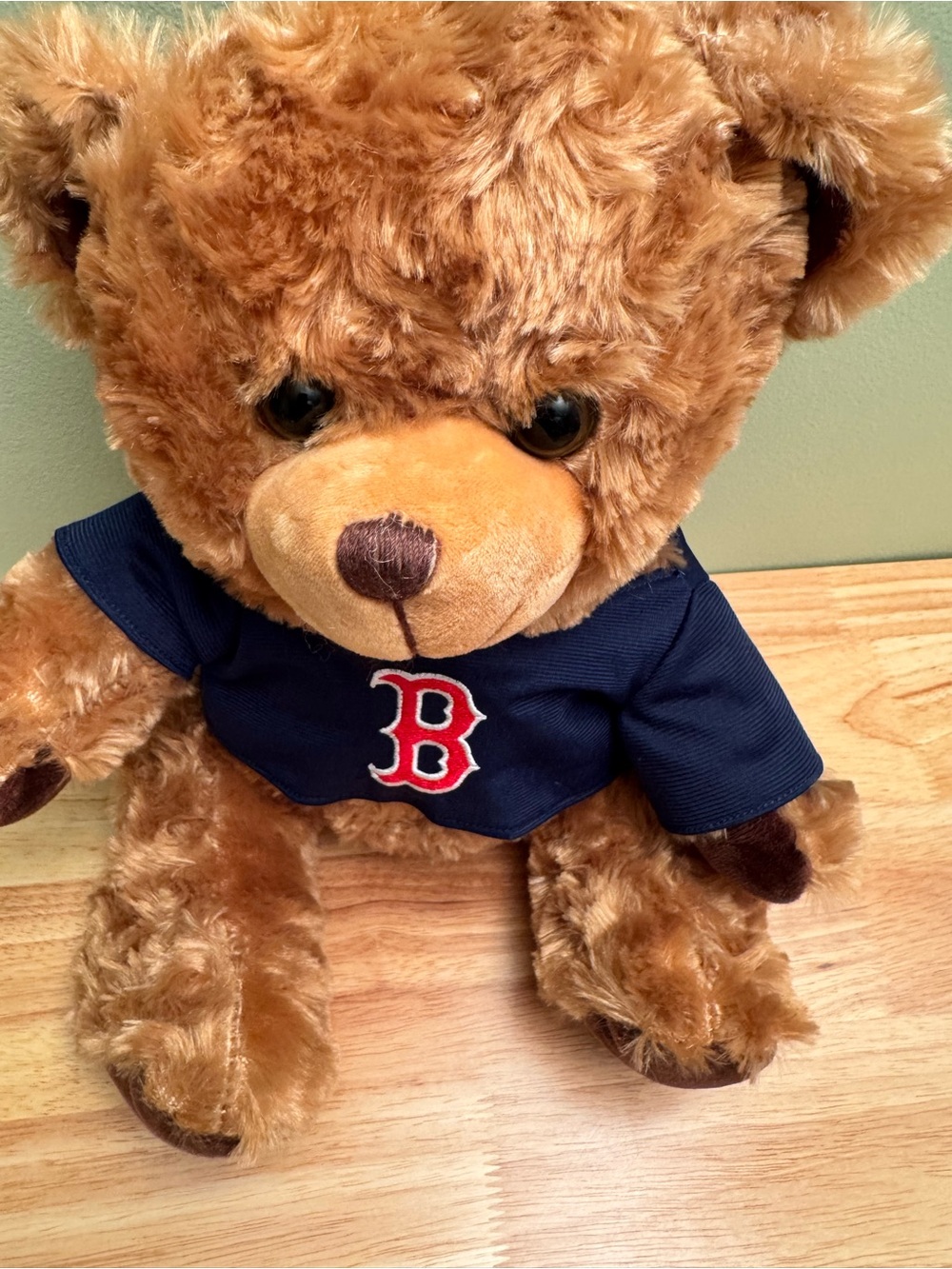 Boston Red Sox teddy bear